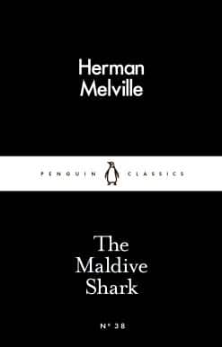 The Maldive Shark