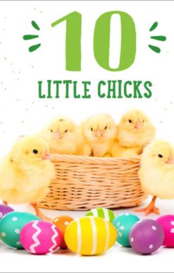 10 Little Chicks