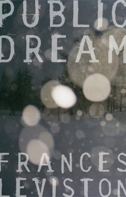 Public Dream