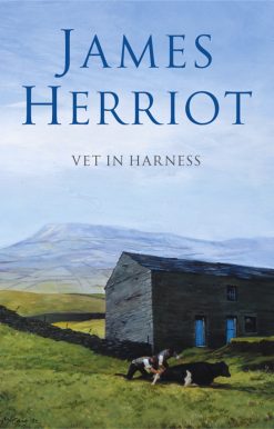 Vet in Harness