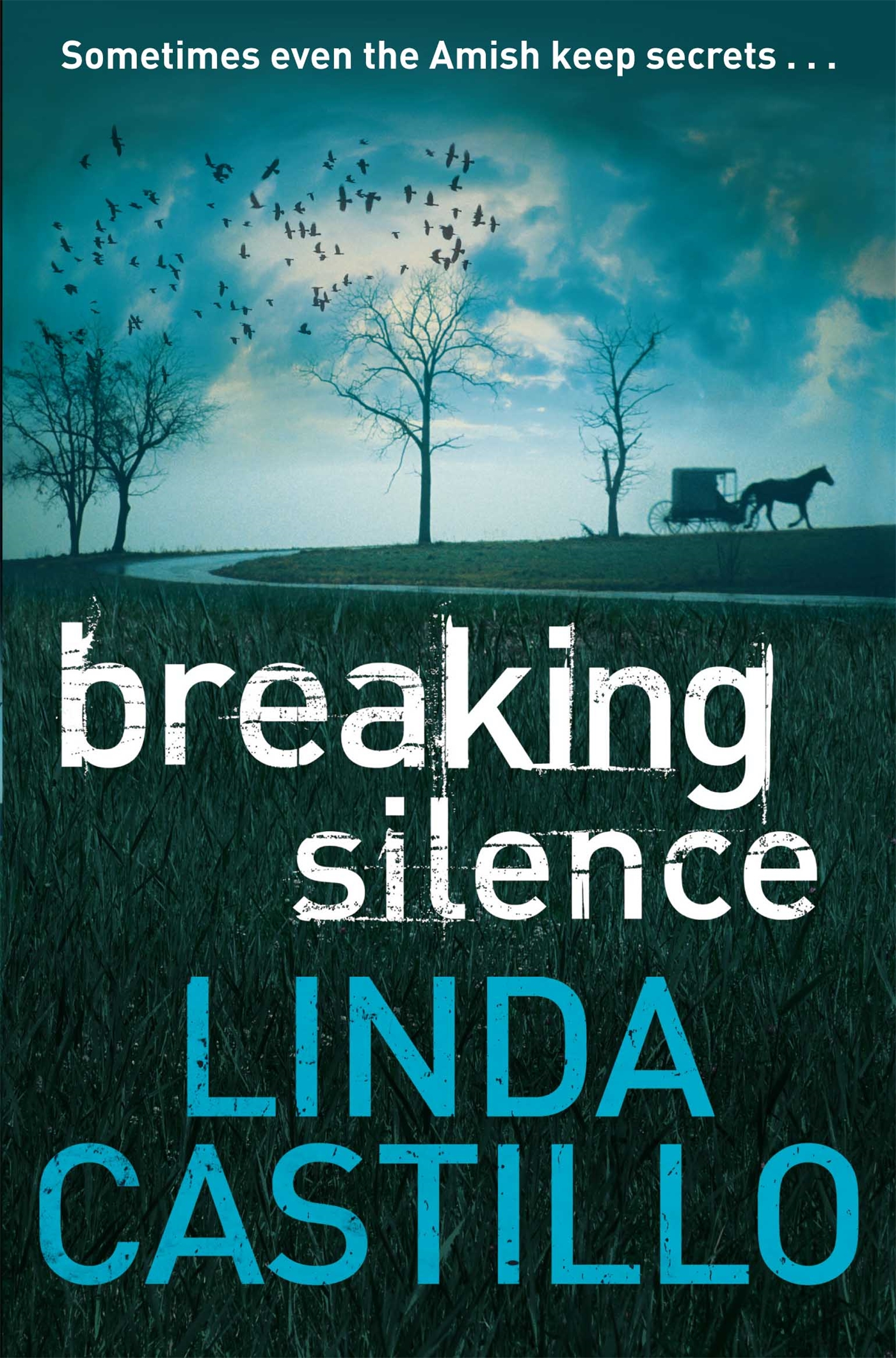 Breaking Silence 1 Breaking Silence