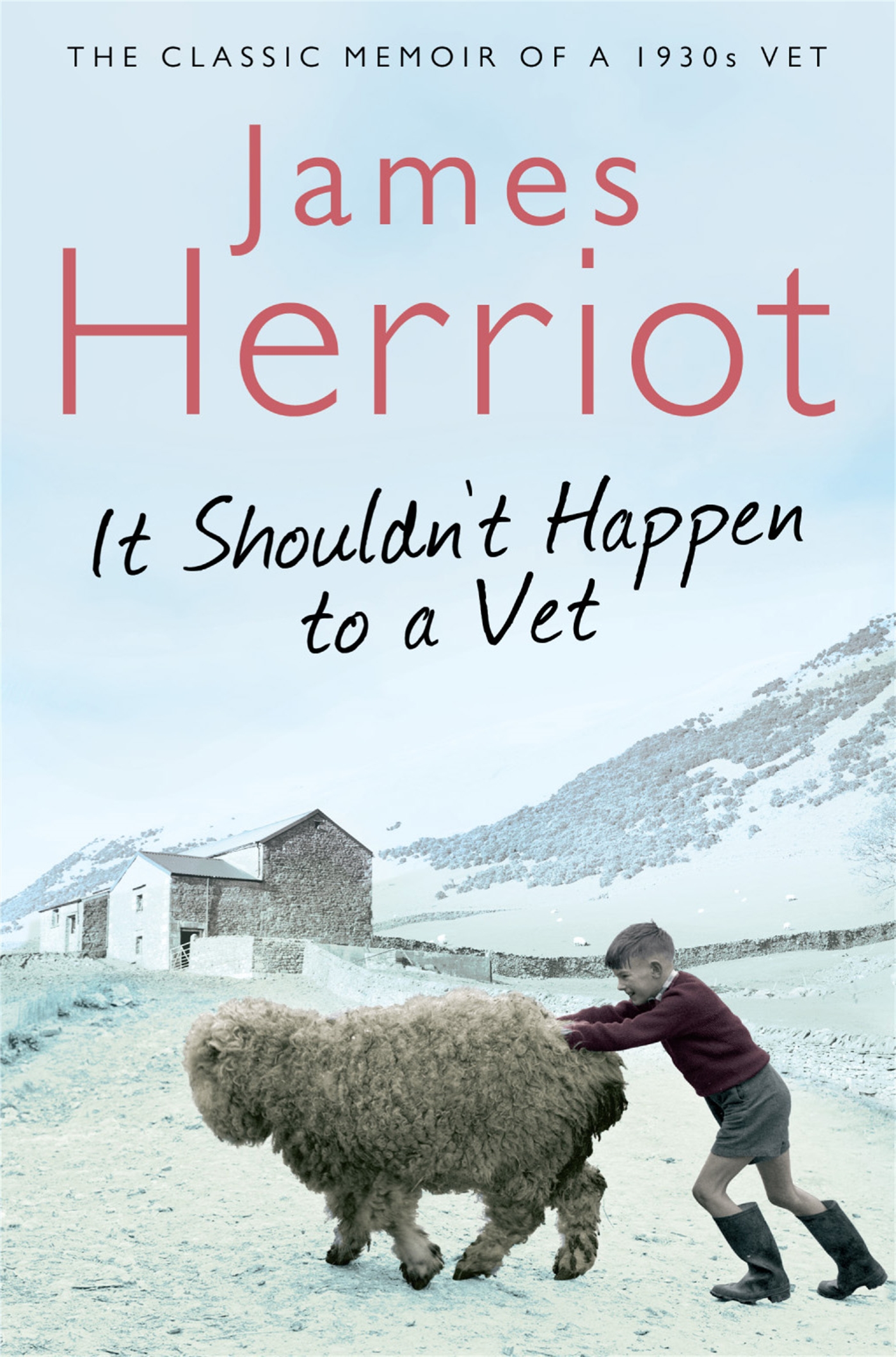 It Shouldn't Happen to a Vet 1 It Shouldn't Happen to a Vet