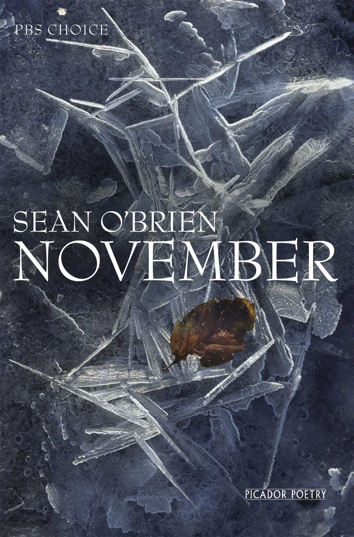 November 1 November