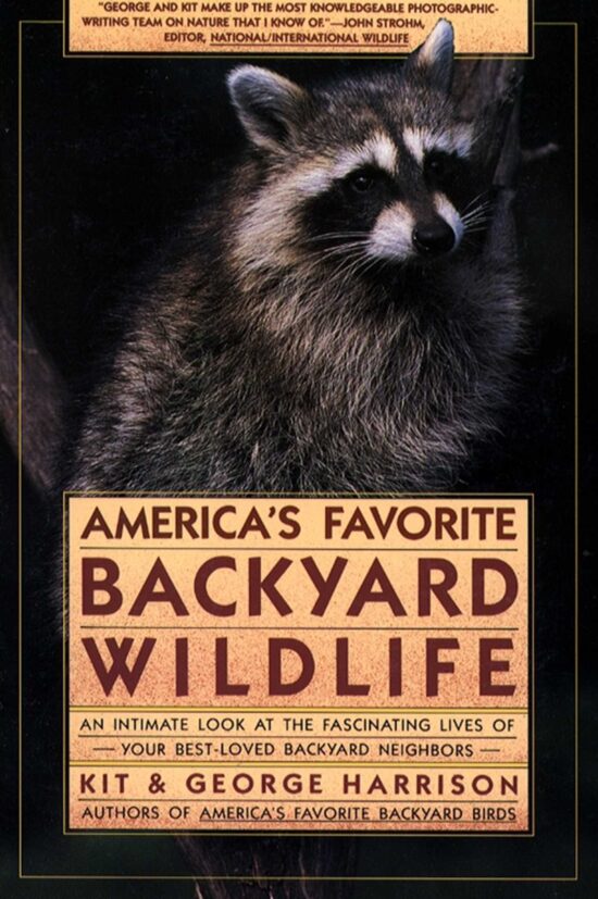 AMERICA'S FAVORITE BACKYARD WILDLIFE