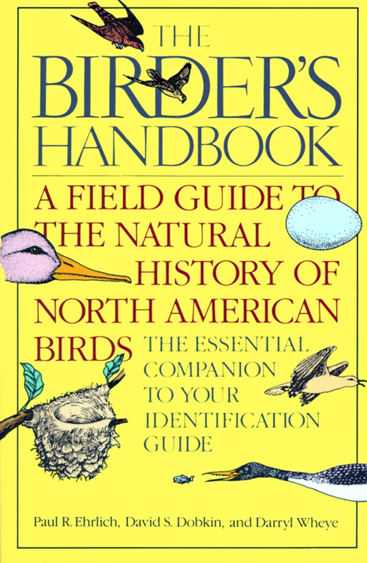 Birder's Handbook Birder's Handbook 1 Birder's Handbook Birder's Handbook