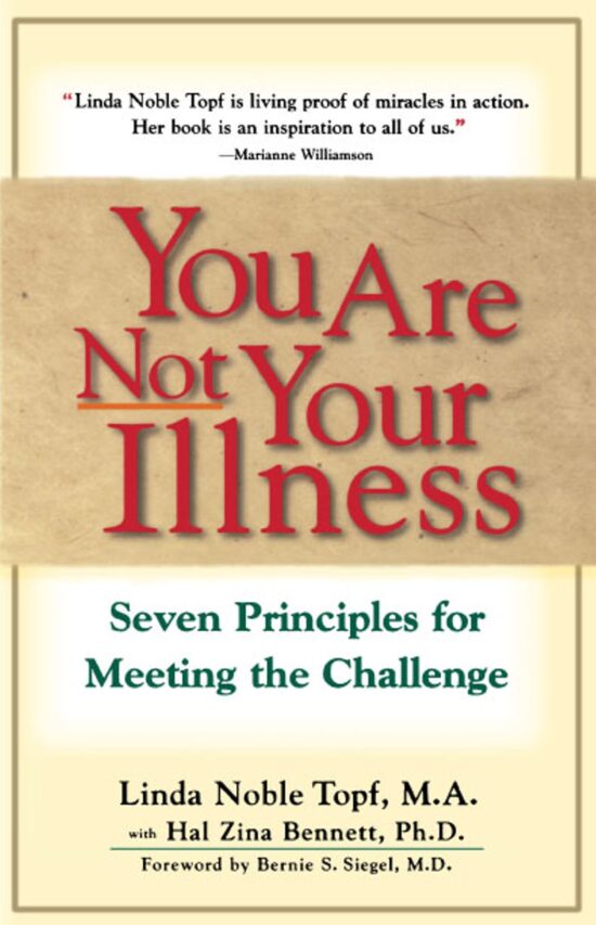 You Are Not Your Illness Seven Principles for Meeting the Challenge