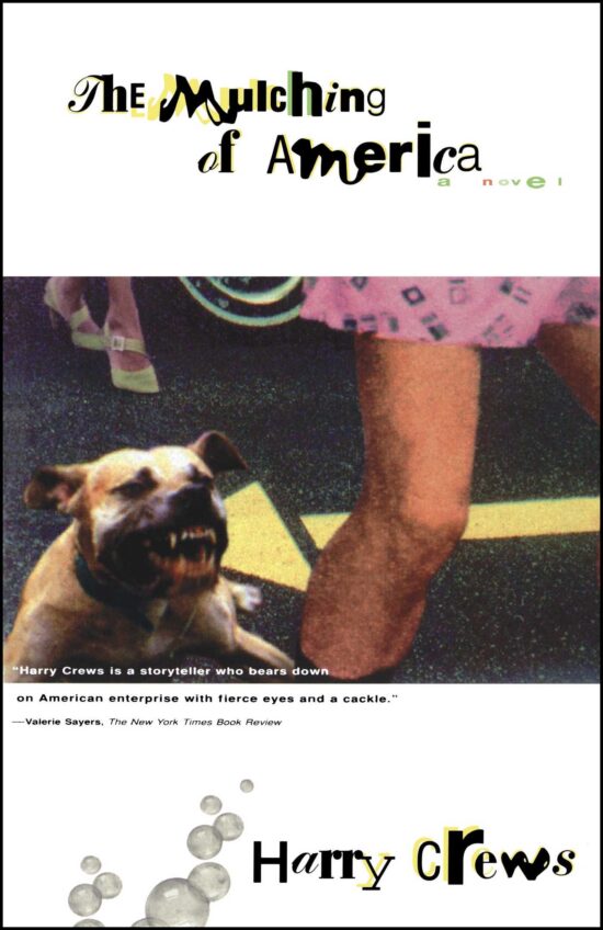 A Novel