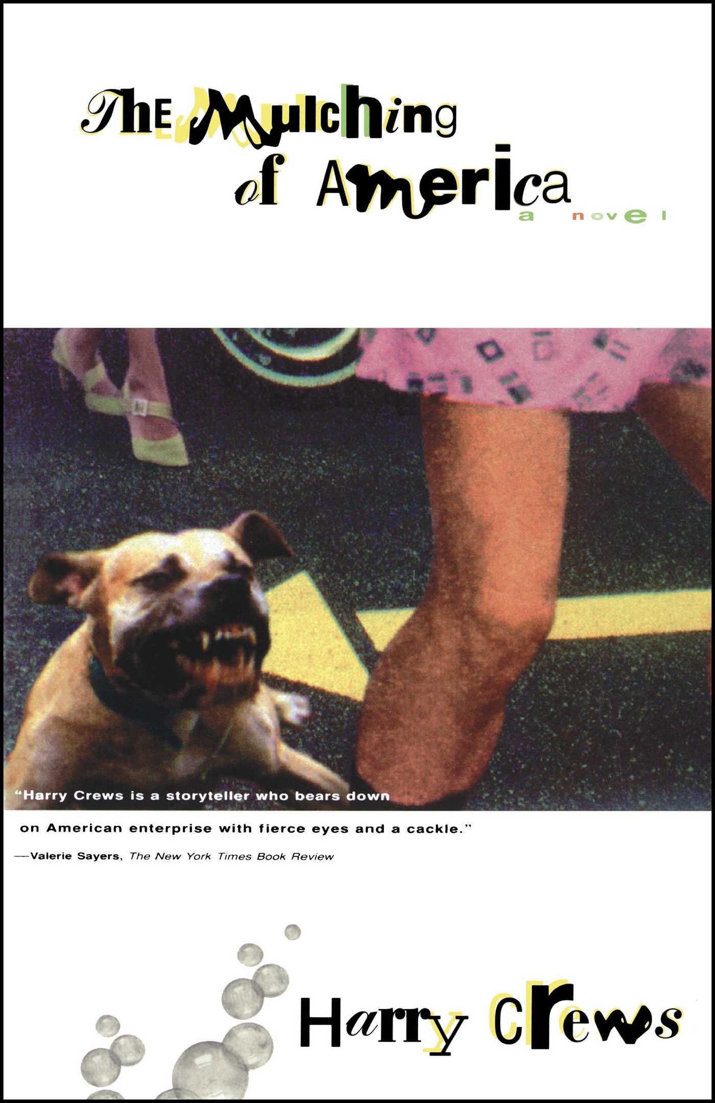 A Novel
