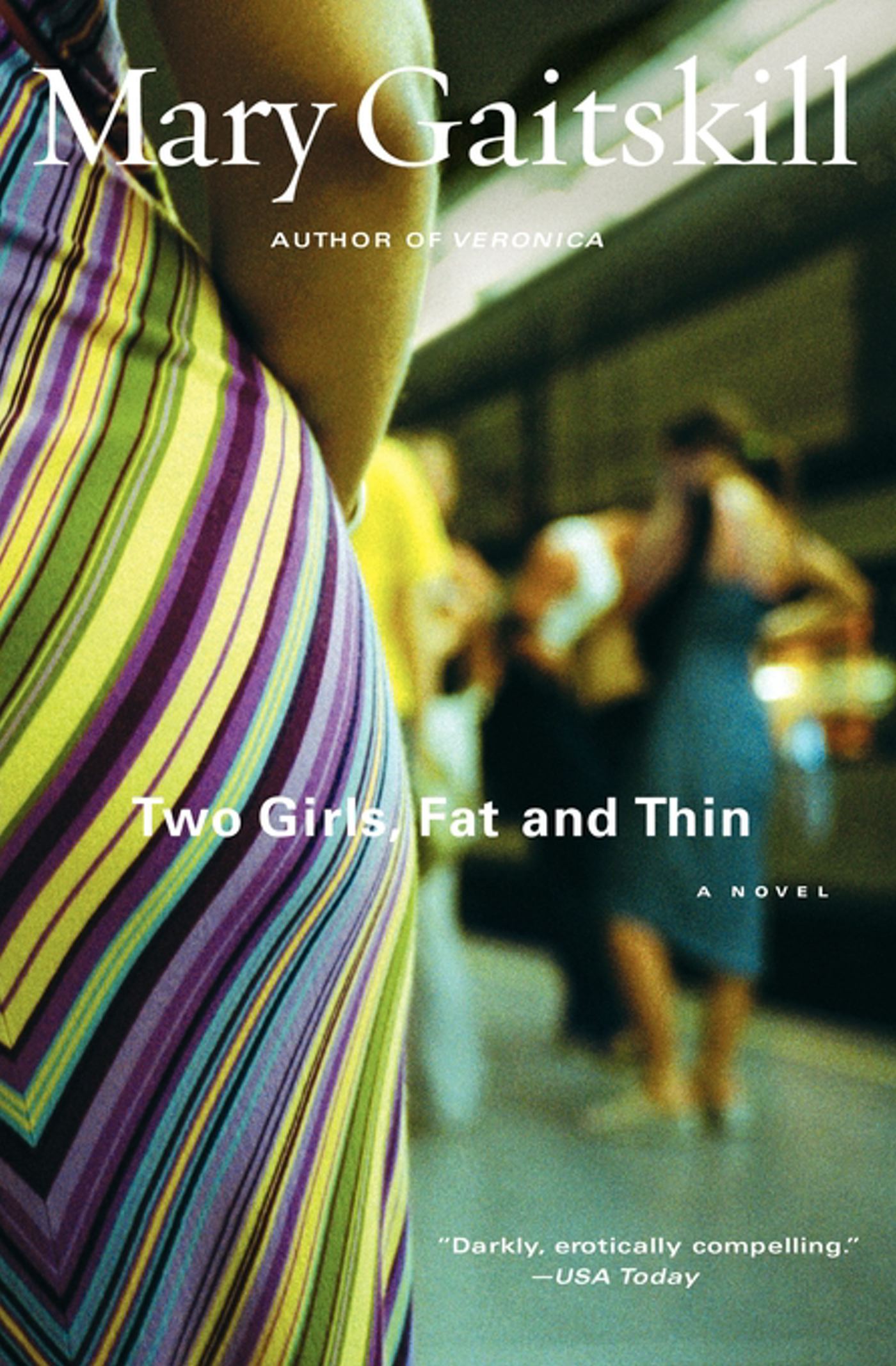 Two Girls, Fat and Thin A Novel