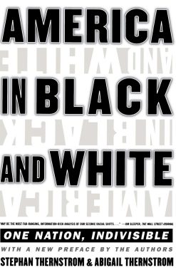 America in Black and White One Nation, Indivisible