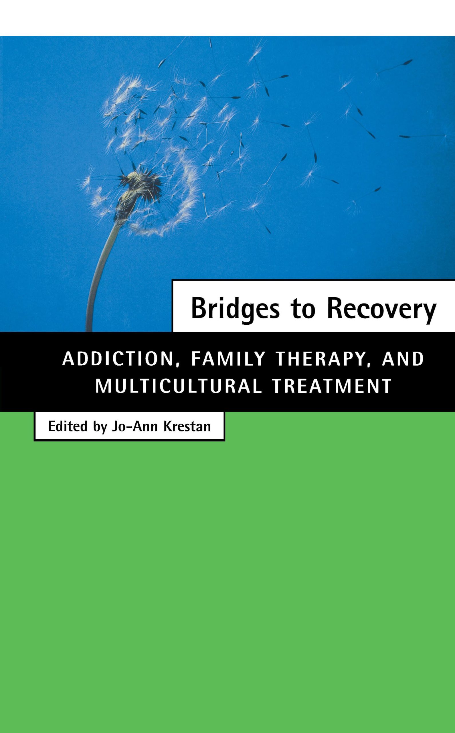 Bridges to Recovery Addiction, Family Therapy, and Multicultural Treatment 1 Bridges to Recovery Addiction, Family Therapy, and Multicultural Treatment