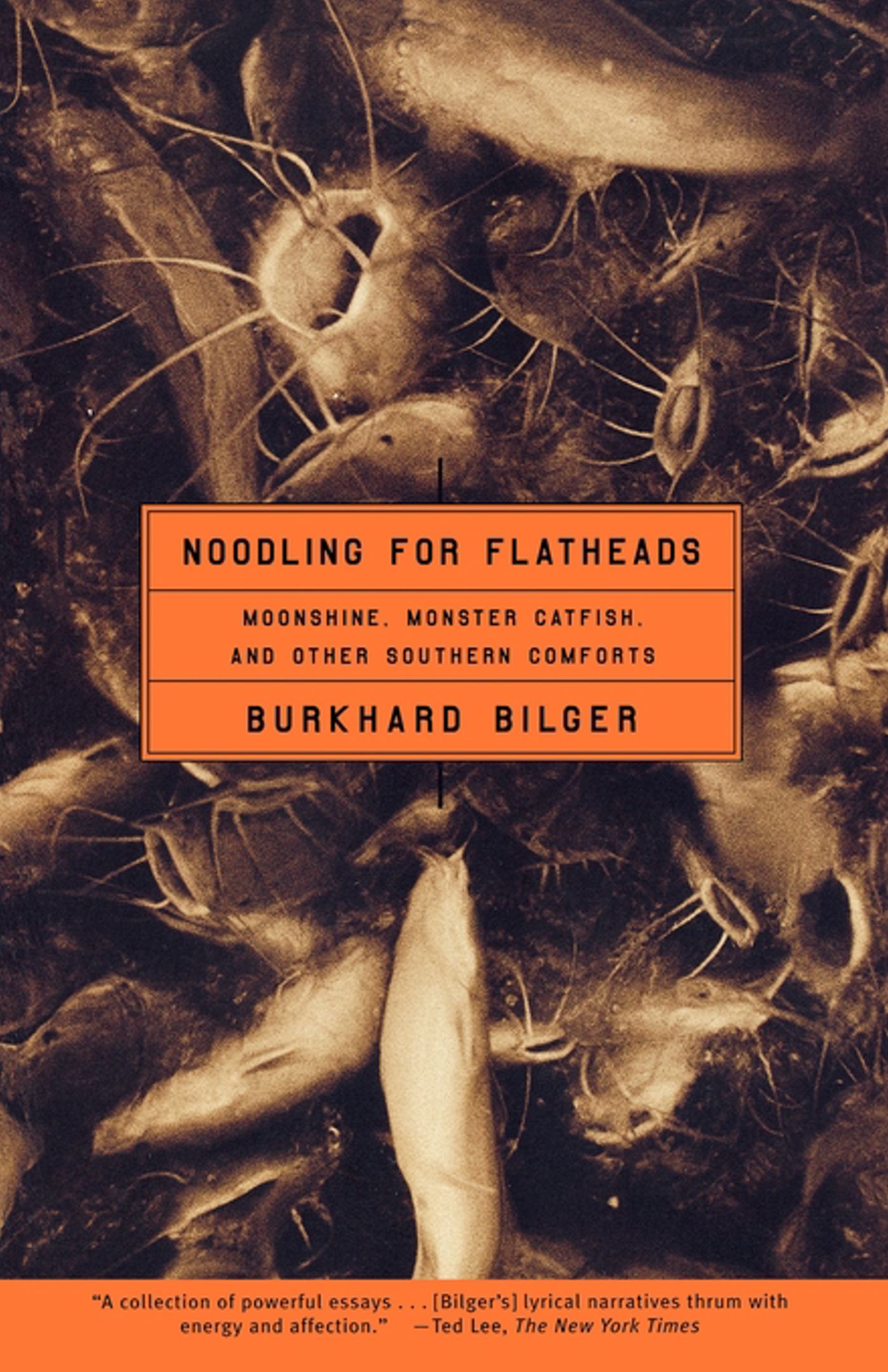 Noodling for Flatheads Moonshine, Monster Catfish, and Other Southern Comforts