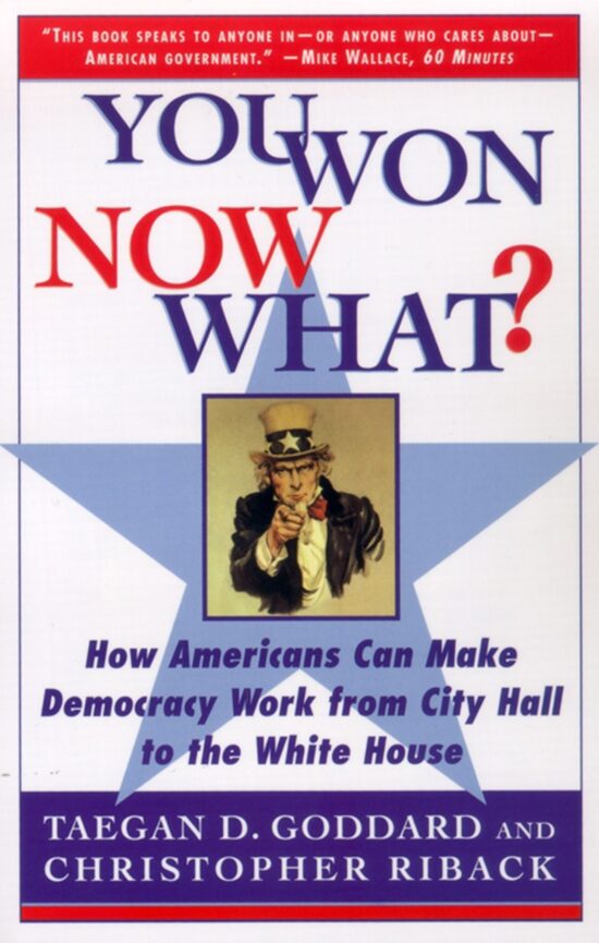 You Won--Now What? How Americans Can Make Democracy Work from City Hall to the White House