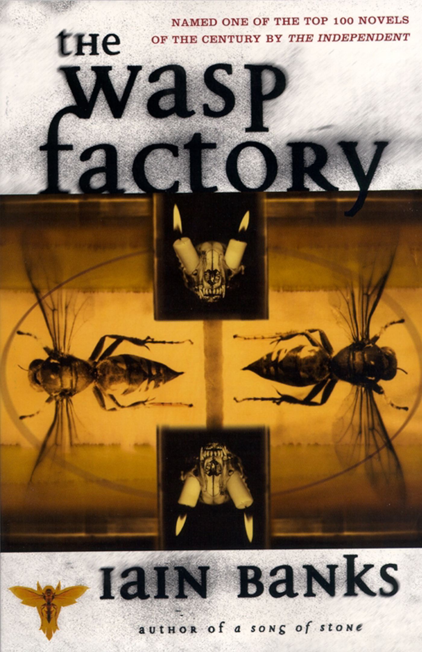 A Novel