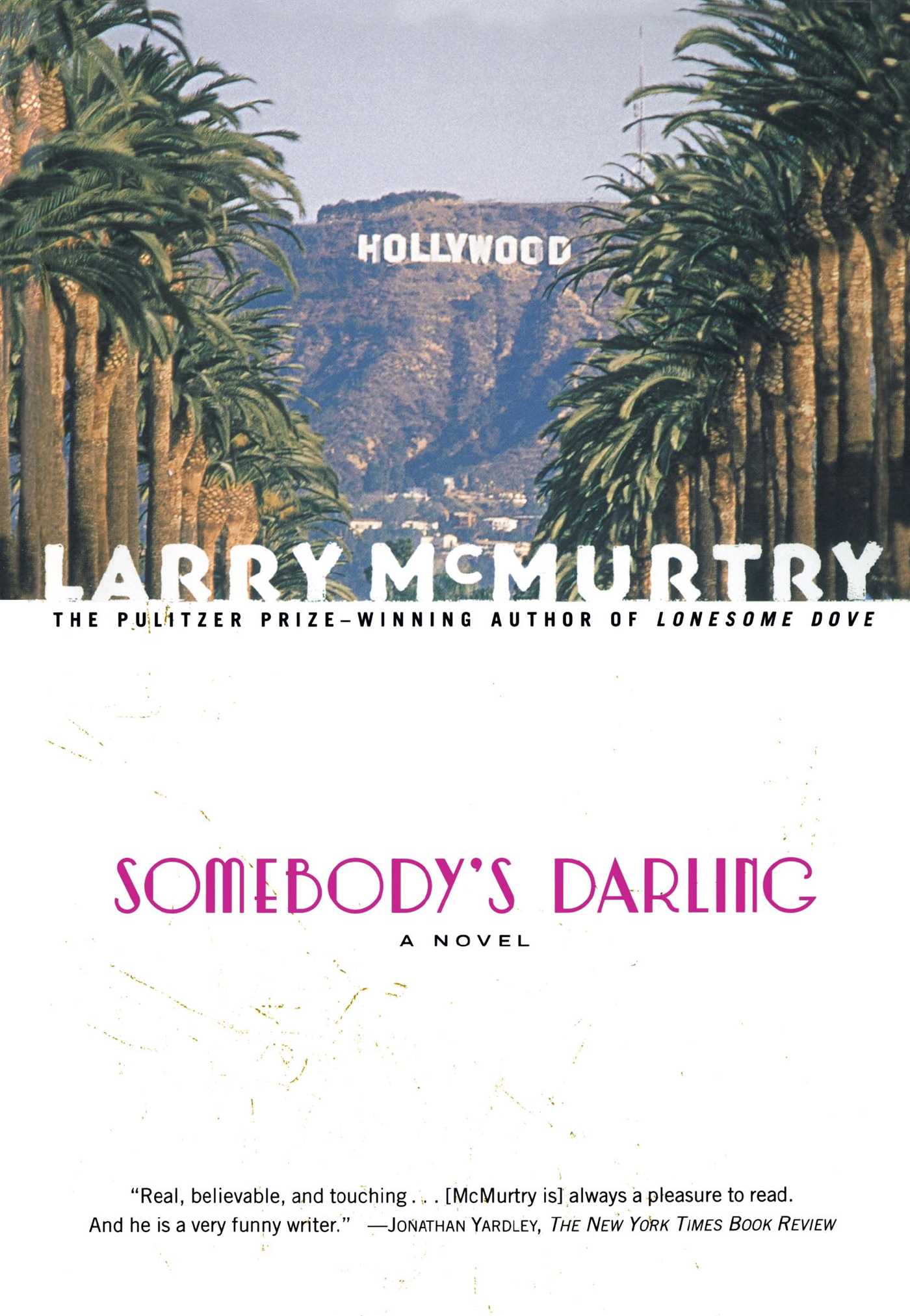 Somebody's Darling A Novel