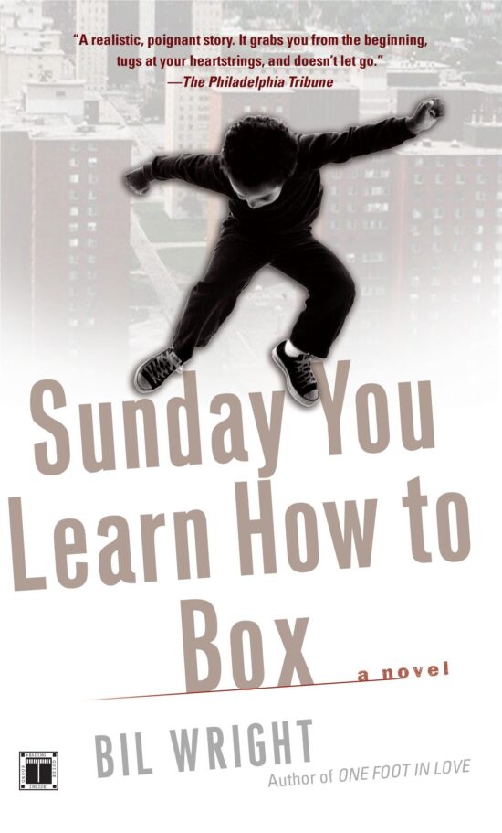 Sunday You Learn How to Box A Novel