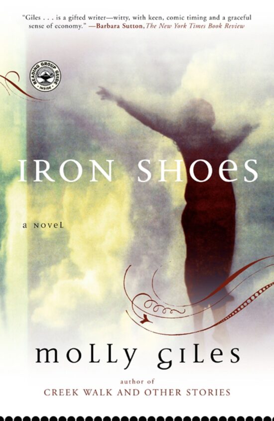 Iron Shoes A Novel
