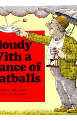 Cloudy With a Chance of Meatballs