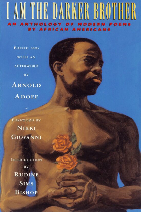 I Am the Darker Brother An Anthology of Modern Poems by African Americans