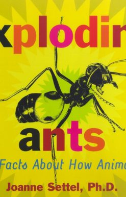 Exploding Ants Amazing Facts About How Animals Adapt