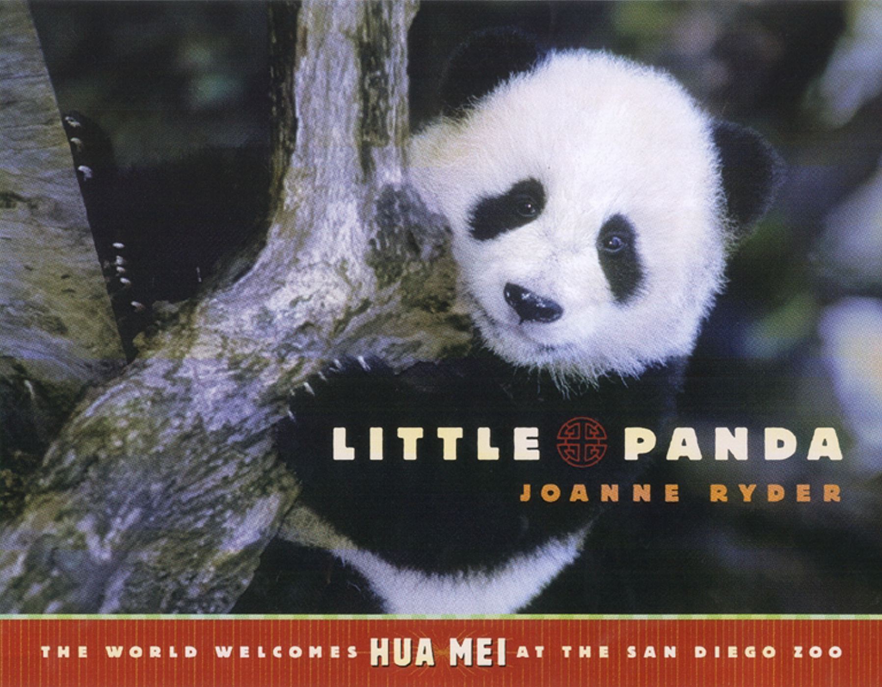Little Panda The World Welcomes Hua Mei at the San Diego Zoo