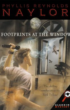 Footprints at the Window