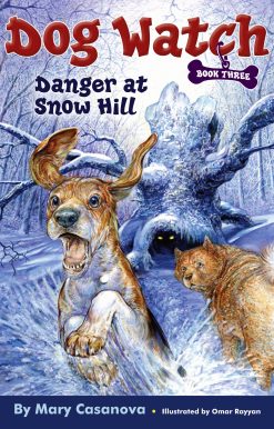 Danger at Snow Hill