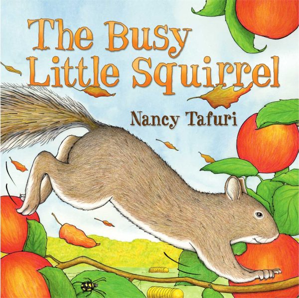 Busy Little Squirrel