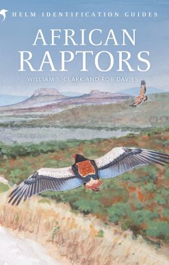 African Raptors