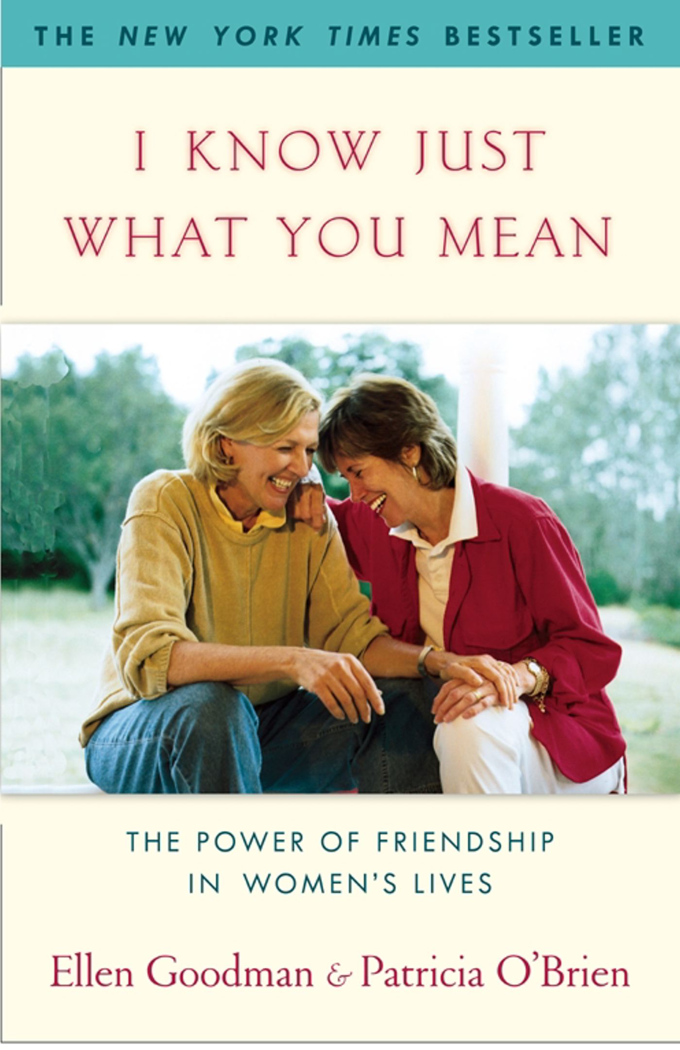 I Know Just What You Mean The Power of Friendship in Women's Lives