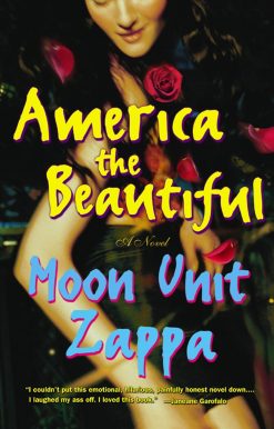America the Beautiful A Novel