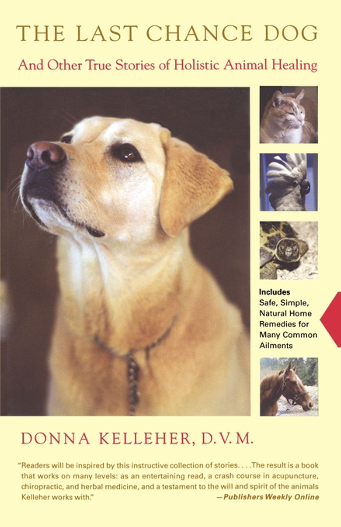 and Other True Stories of Holistic Animal Healing