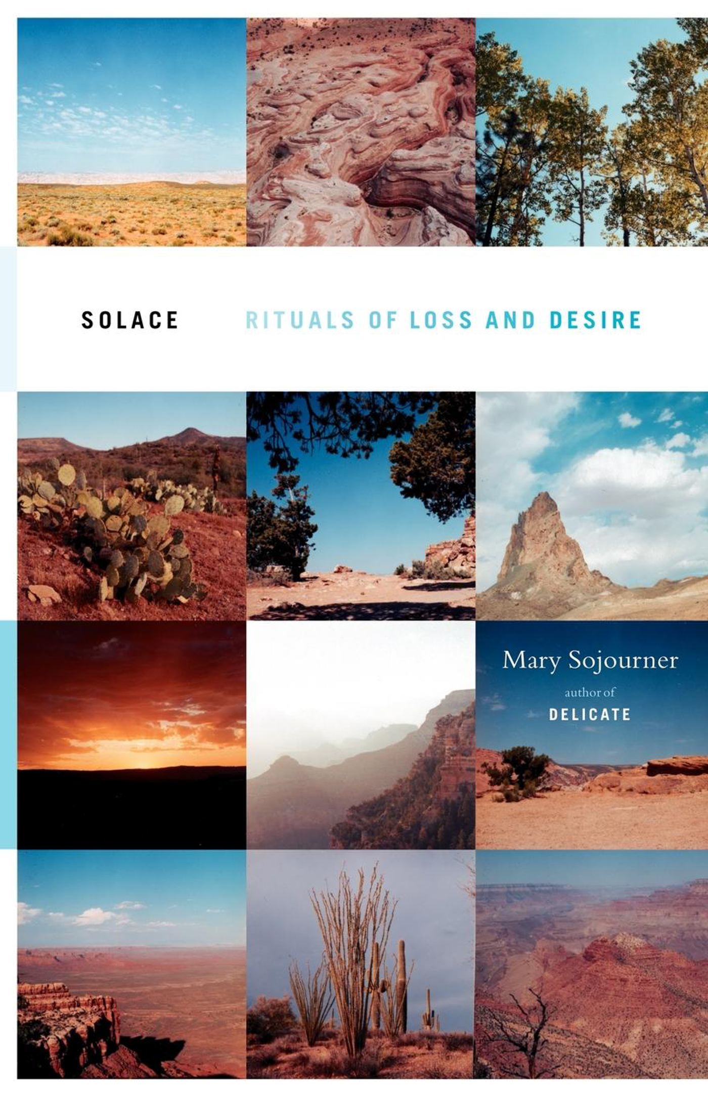 Solace Rituals of Loss and Desire