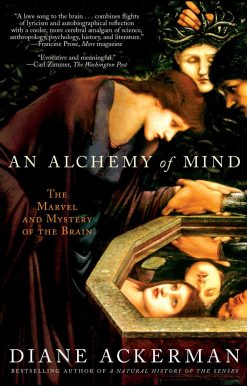 The Marvel and Mystery of the Brain