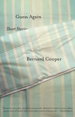 Guess Again Short Stories