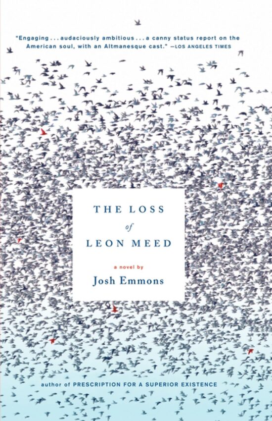 A Novel