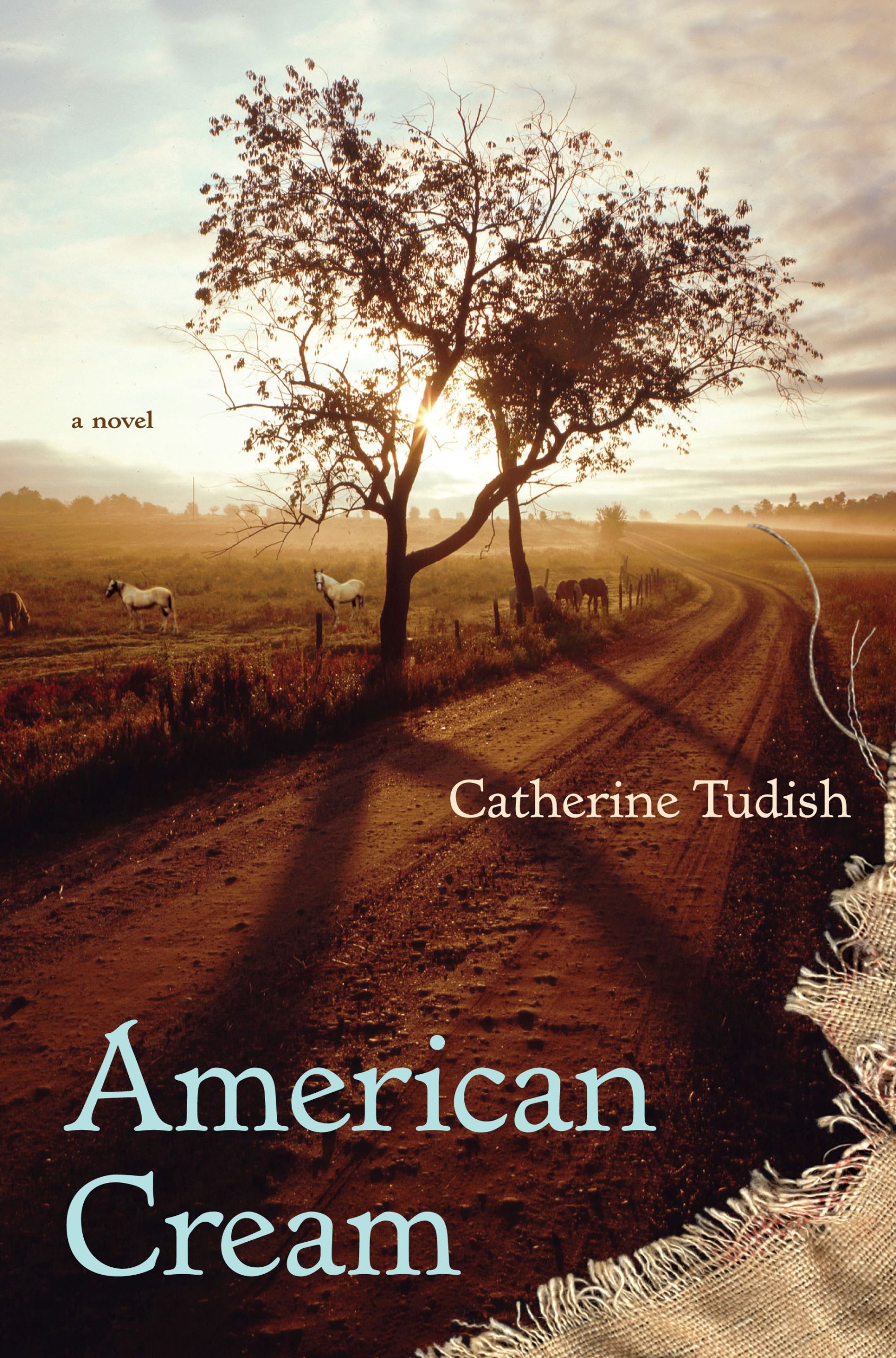 American Cream A Novel 1 American Cream A Novel