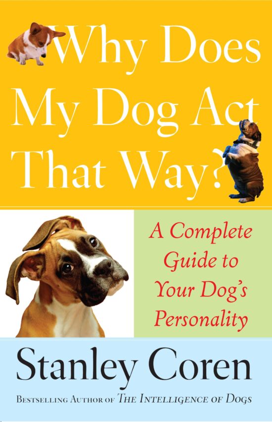 Why Does My Dog Act That Way? A Complete Guide to Your Dog's Personality