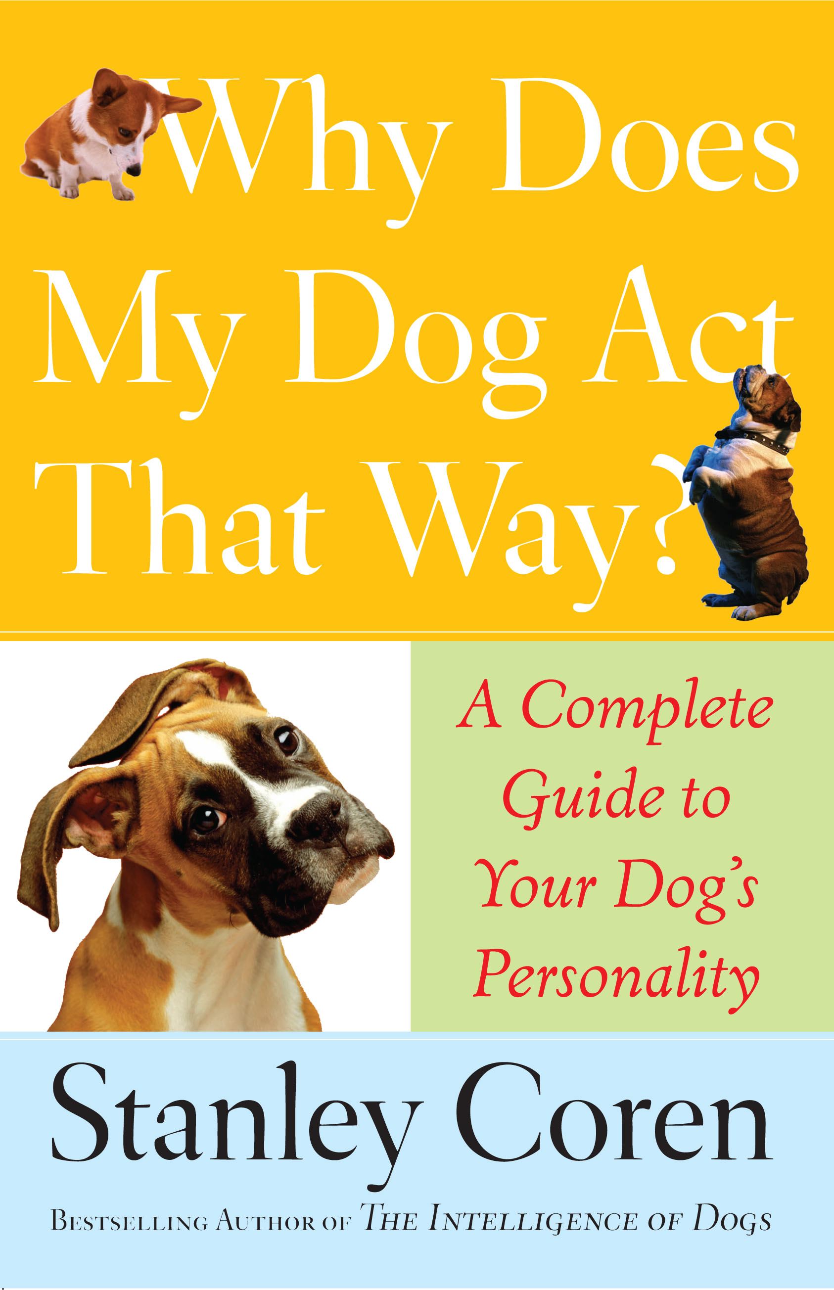 Why Does My Dog Act That Way? A Complete Guide to Your Dog's Personality