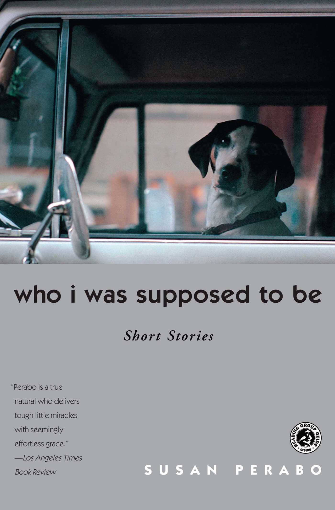 Who I Was Supposed to Be Short Stories