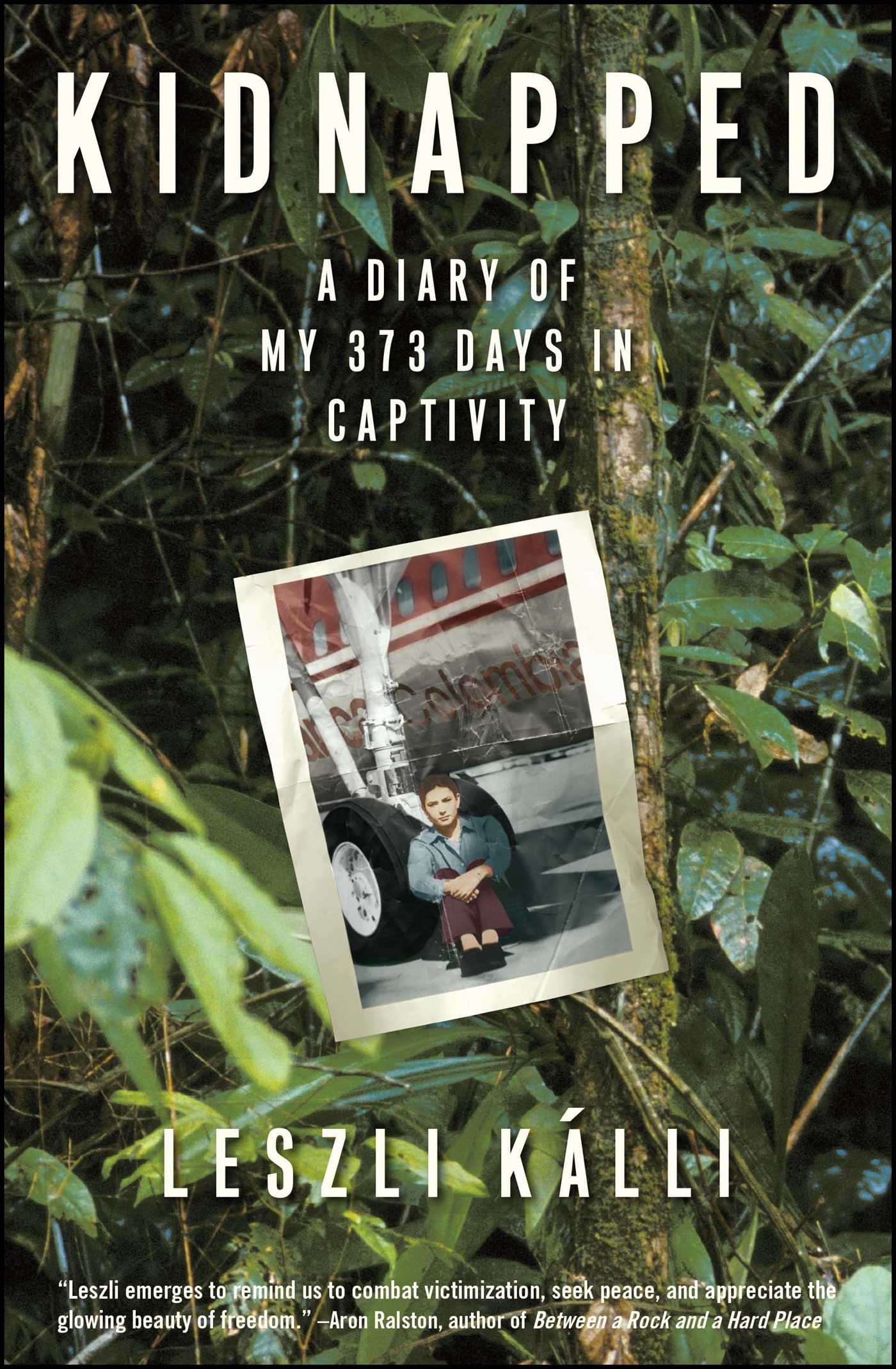 Kidnapped A Diary of My 373 days in Captivity