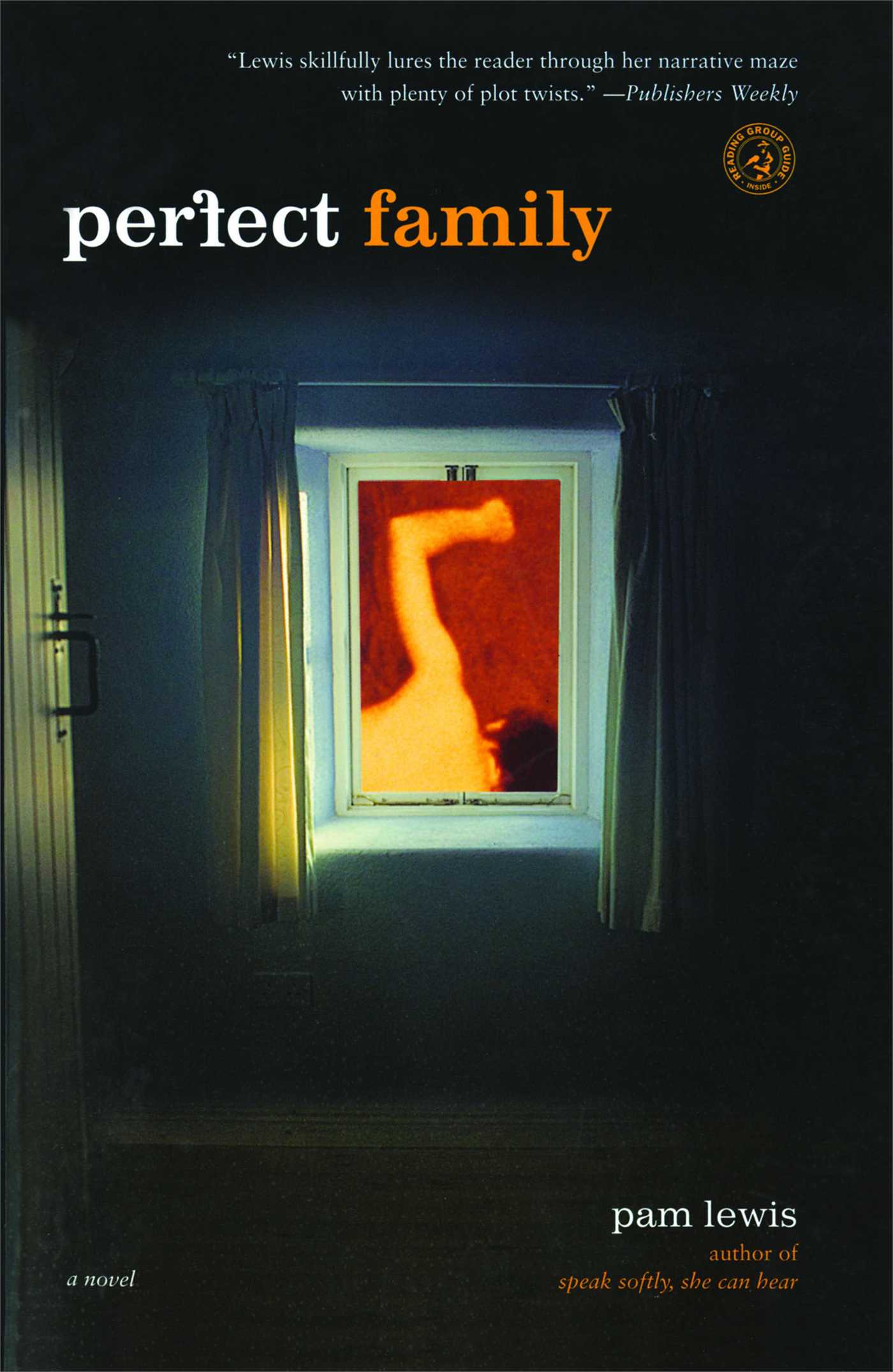 Perfect Family A Novel