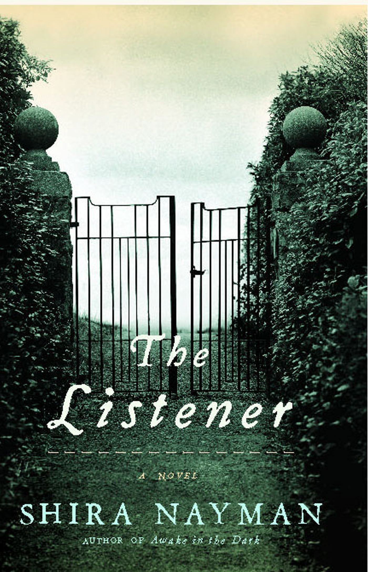 A Novel
