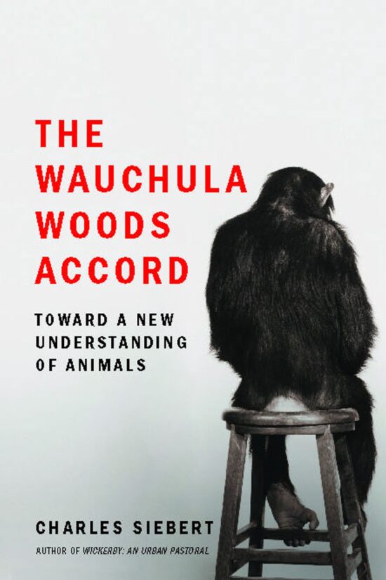Toward a New Understanding of Animals