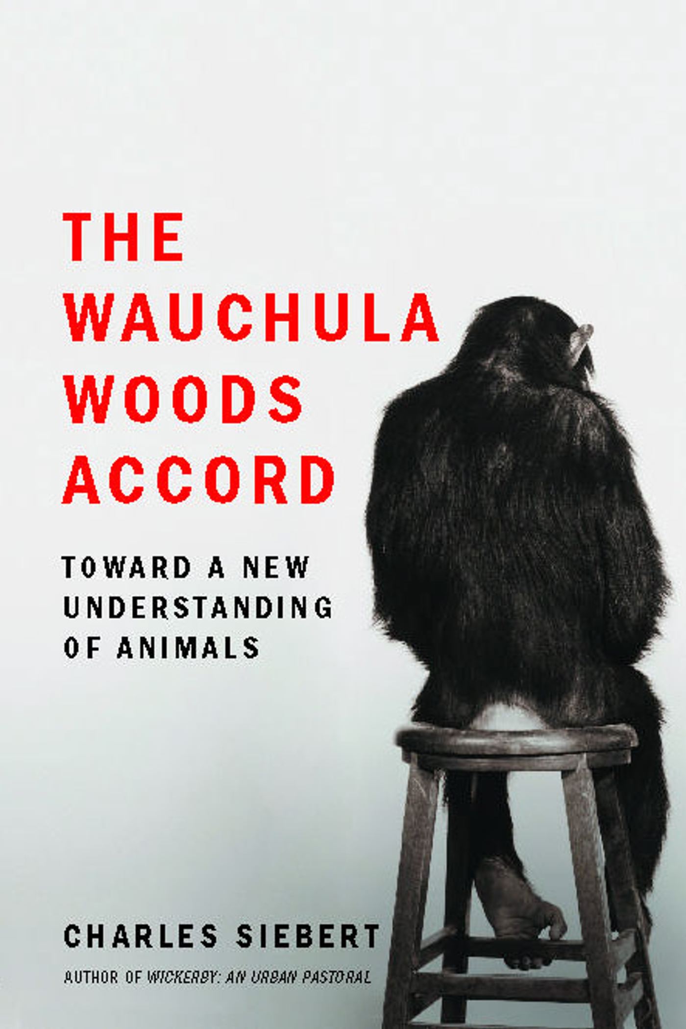 Toward a New Understanding of Animals