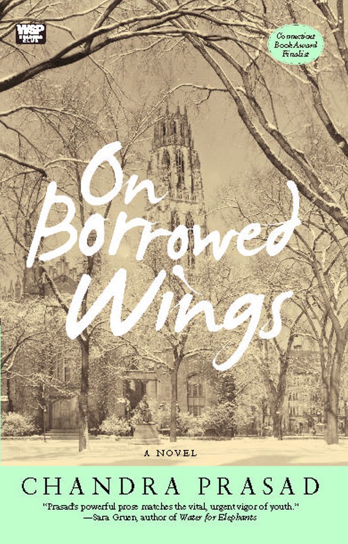 On Borrowed Wings A Novel