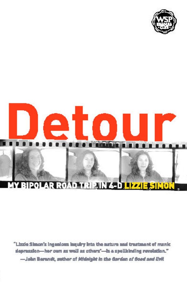 Detour My Bipolar Road Trip in 4-D