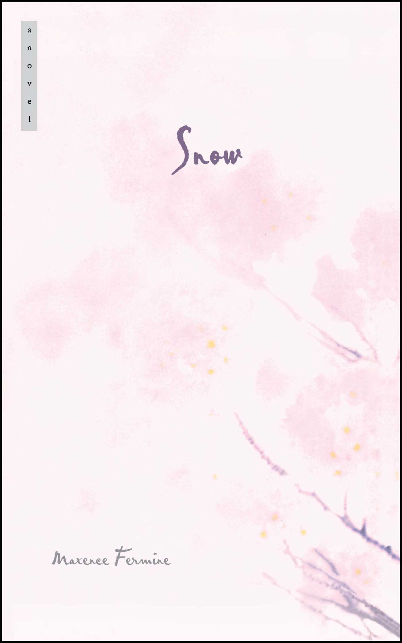 Snow A Novel