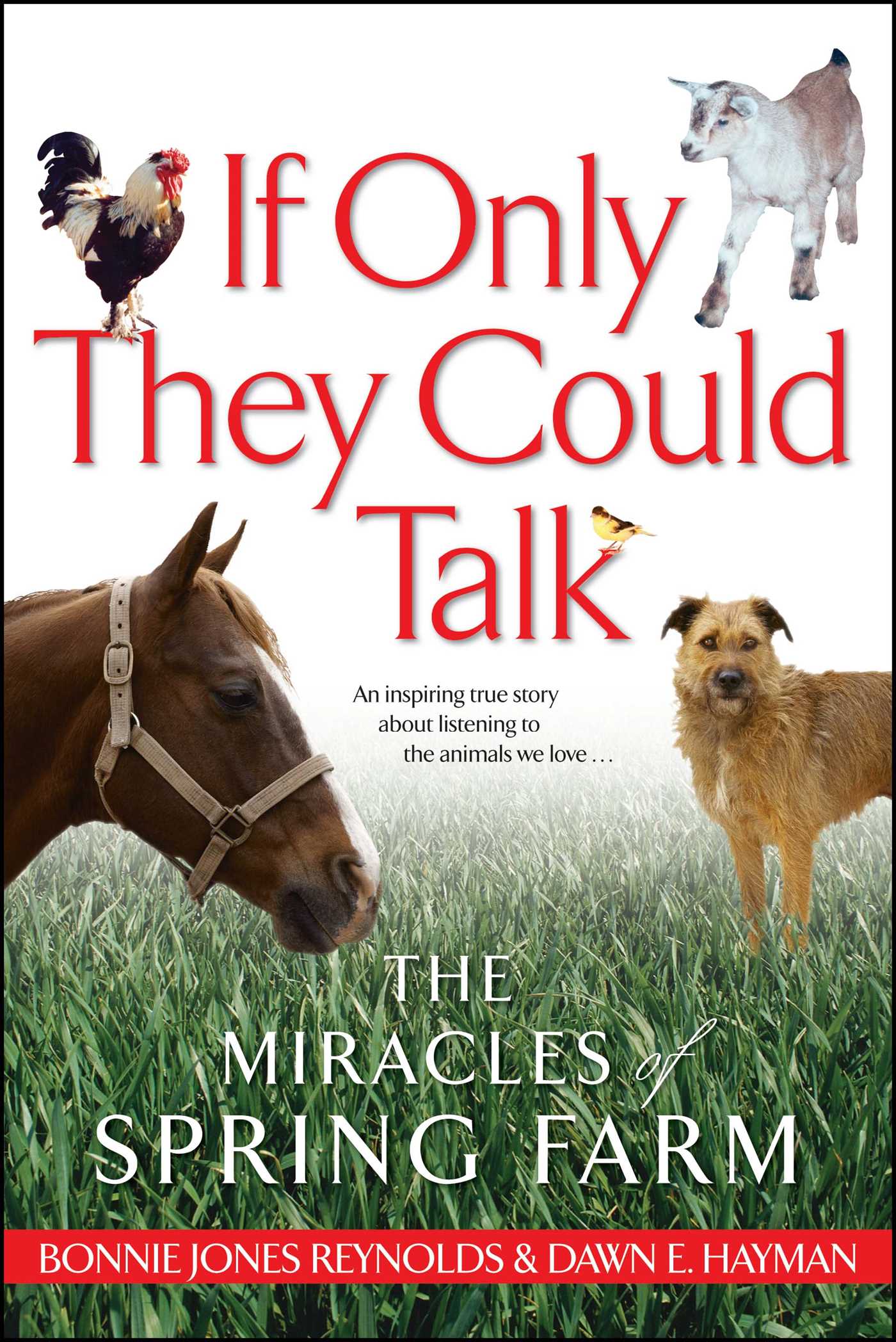 If Only They Could Talk The Miracles of Spring Farm