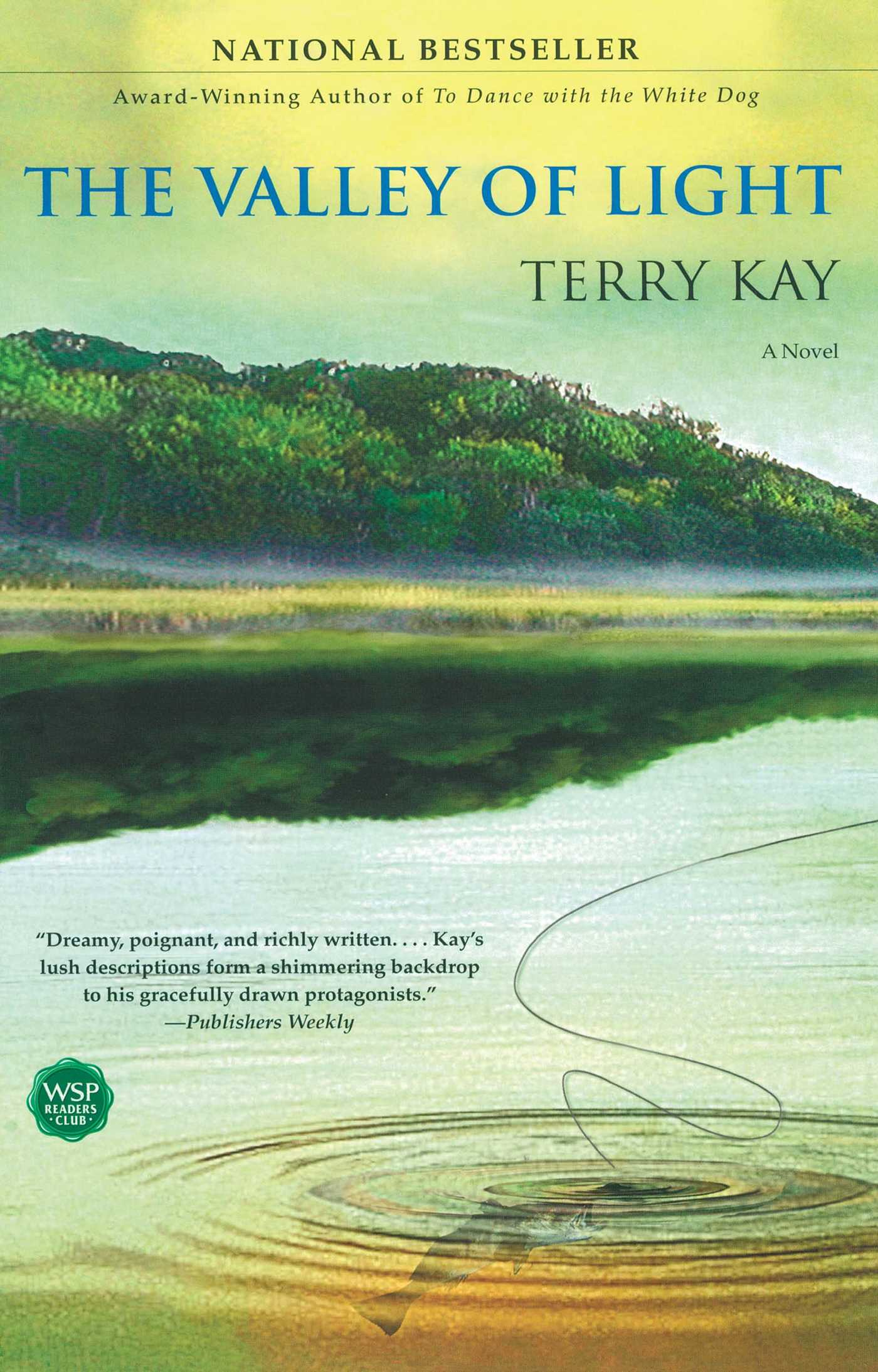 The Valley of Light  A Novel